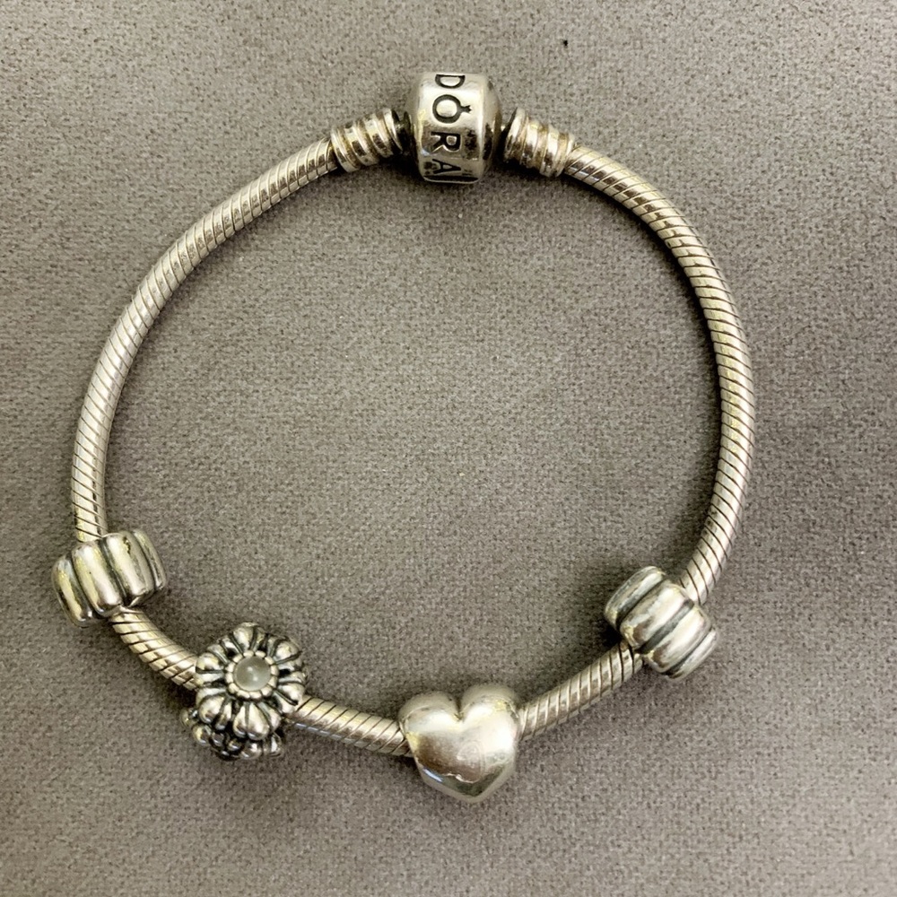 Pandora Moments Snake Chain Bracelet
(4 charms included)